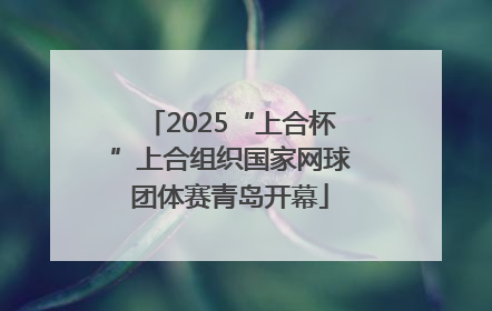 2025“上合杯”上合组织国家网球团体赛青岛开幕